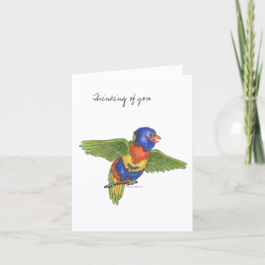 Carte de la collection Budgie (Devant)