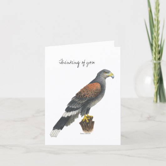 Carte de la Collection Falcon (Devant)