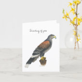 Carte de la Collection Falcon (Fleur jaune)