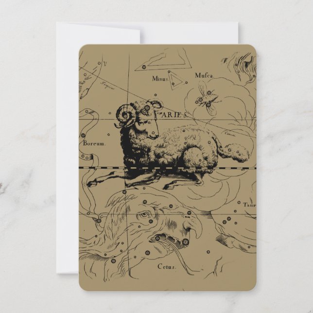 Carte de la constellation d'Aries par Hevelius (Devant)