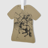 Carte de la constellation Sagittarius par Hevelius (devant)