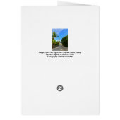 Carte de la côte du golfe de Floride Sanibel Islan (Dos)