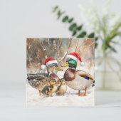 Carte de la famille canard (Debout devant)