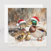 Carte de la famille des canards (Devant / Derrière)