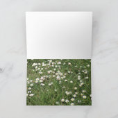 Carte De la fenêtre ! (Intérieur)