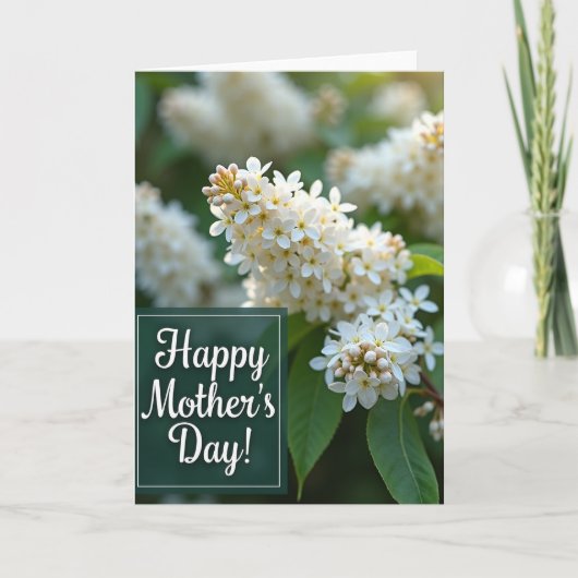 Carte de la fête des mères à fleurs blanches (Devant)