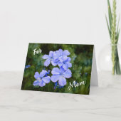 Carte de la Fête des Mères avec Jardin de Fleurs B (Devant)