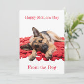 Carte de la fête des mères avec un berger allemand (Debout devant)