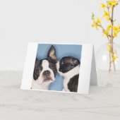 Carte de la fête des mères Boston Terrier (Fleur jaune)