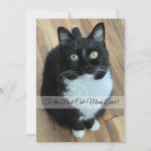 Carte de la Fête des Mères Meilleur Chat Maman (Devant)