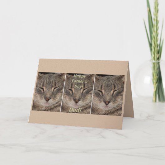 Carte de la Fête des Pères (Chat endormi) (Devant)
