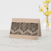 Carte de la Fête des Pères (Chat endormi) (Fleur jaune)