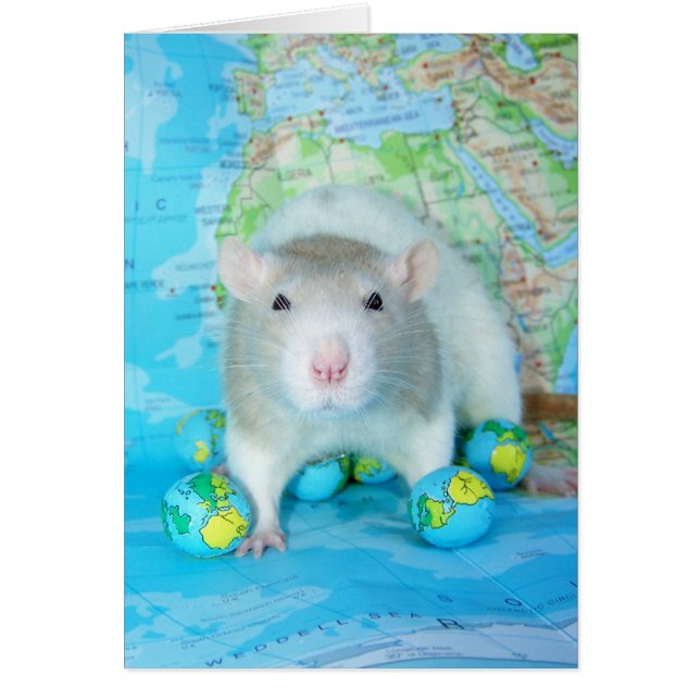 Carte de la Journée mondiale du Rat (Devant)