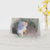 Carte de la marmotte (Fleur jaune)