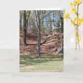 Carte de la Nature (Fleur jaune)