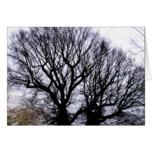 Carte de la nature hivernale