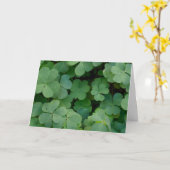 Carte de la Saint Patrick (Fleur jaune)