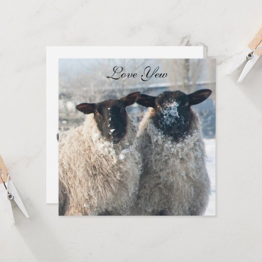 Carte de la Saint-Valentin (Devant/Arrière en situation)