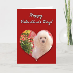 Carte de la Saint-Valentin Caniche Joyeuse