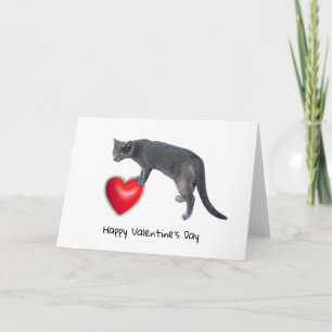 Carte de la Saint-Valentin Chat Gris Tenant un Cœu