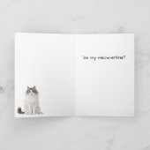 Carte de la Saint-Valentin Chat Poupée Coquette (Intérieur)