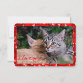 Carte de la Saint-Valentin Chaton Mignon (Devant)