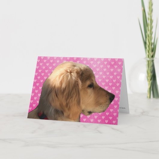 Carte de la Saint-Valentin Chiot Golden Retriever (Devant)