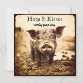 Carte de la Saint-Valentin cochons drôles et bisou (Devant)