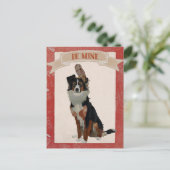 Carte de la Saint-Valentin COLLIE & OWL (Debout devant)