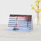 Carte de la Saint-Valentin de la barrière de la fe (Fleur jaune)