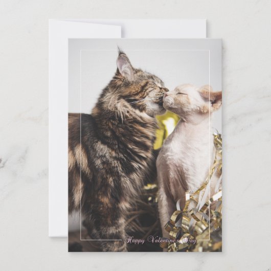 Carte de la Saint-Valentin "Deux Chats" (Devant)
