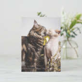 Carte de la Saint-Valentin "Deux Chats" (Debout devant)