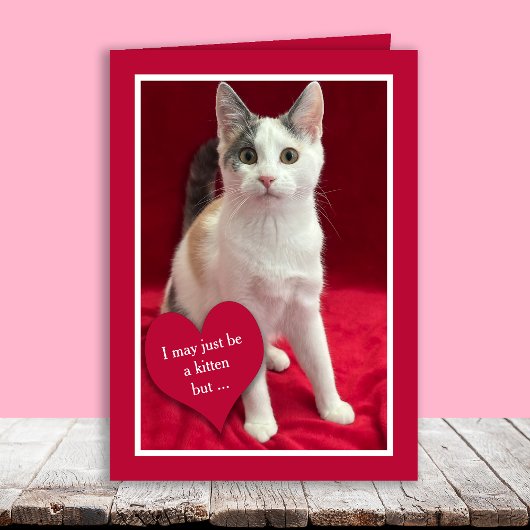 Carte de la Saint-Valentin drôle et mignonne avec