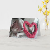 Carte de la Saint-Valentin du chien Weimaraner Rai (Fleur jaune)