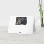 Carte de la Saint-Valentin Labrador au Chocolat (Dos)