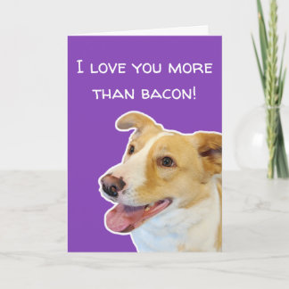 Carte de la Saint-Valentin pour amateurs de chiens