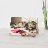 Carte de la Saint-Valentin pour chat Maine Coon (Dos)