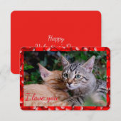 Carte de la Saint-Valentin pour chat mignon (Devant / Derrière)