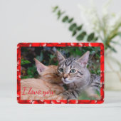 Carte de la Saint-Valentin pour chat mignon (Debout devant)