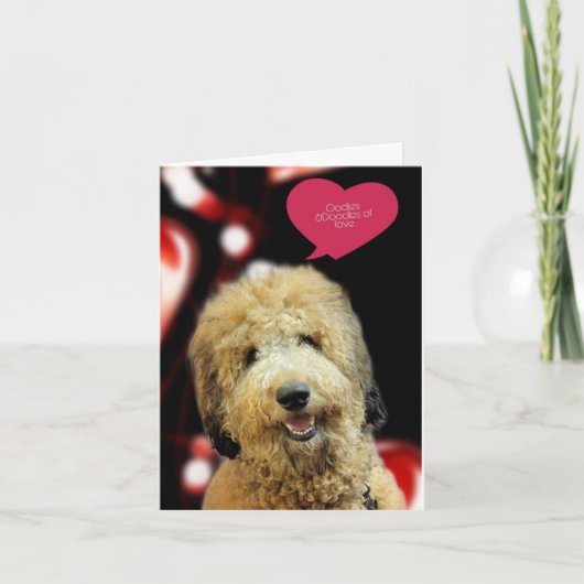 Carte de la Saint-Valentin pour chien doodle préci (Devant)