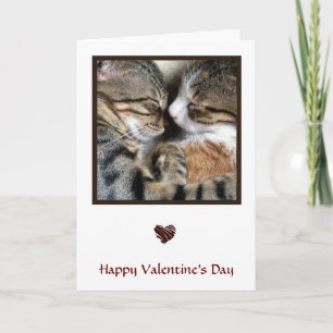 Carte de la Saint-Valentin pour l'amour des chats