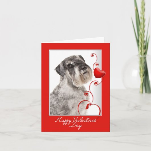 Carte de la Saint-Valentin Schnauzer (Devant)