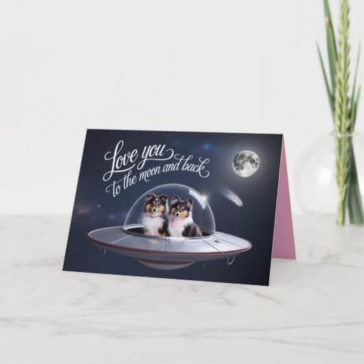 Carte de la Saint-Valentin Sheltie (Devant)