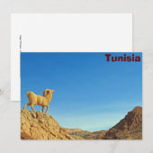Carte de la statue de chèvre tunisienne (Devant / Derrière)