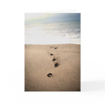 Carte de la sympathie du chien