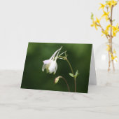 Carte de la sympathy de Weeping Columbine (Fleur jaune)