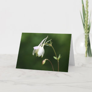 Carte de la sympathy de Weeping Columbine