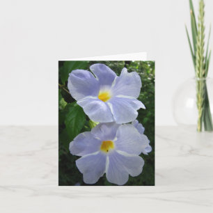 Carte de la Thunbergia Fairy Moon Photo pliée Note
