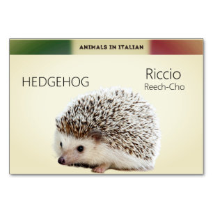 Carte de langue italienne Hérisson animal Flash  
