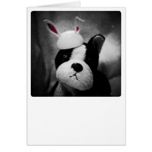 Carte de lapin